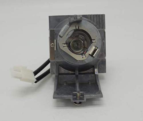 映写機照明ランプ 老人ホーム芝居小屋 テレビ受像機 外国で インポート CTLAMP A+ Quality RLC-116 Projector Lamp Bulb with Housing Compatible with VIEWSONIC PX700固定ディスク PG700WU映写機照明ランプ 老人ホーム芝居小屋 テレビ受像機 外国で インポート