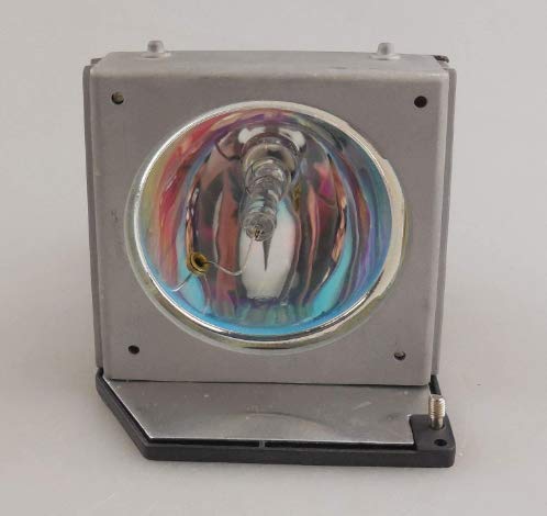 プロジェクターランプ ホームシアター テレビ 海外 輸入 CTLAMP Compatible BL-FP200C / SP.85S01G.C01 Replacement DLP/LCD Projector Lamp BLFP200C Bulb with Housing Compatible with OPTOMA Theme-S HD32 HDプロジェクターランプ ホームシアター テレビ 海外 輸入｜angelica 27,612円