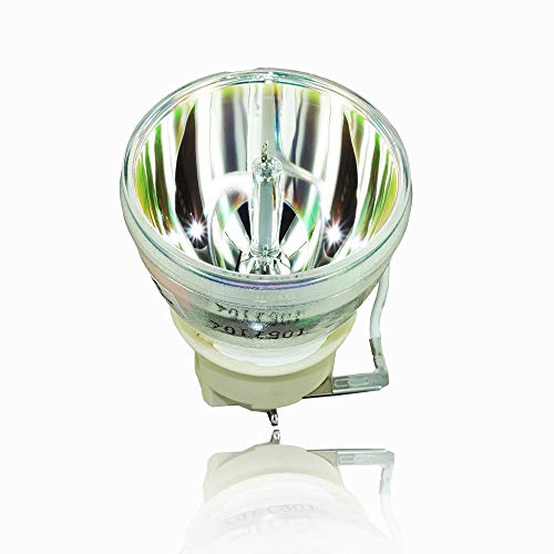 プロジェクターランプ ホームシアター テレビ 海外 輸入 AWO Original UHP240W Lamp Bulb for BL-FU220E / SP.7C601GC01 for OPTOMA EH330UST,HD350UST,X330UST,HD31UST,HD35UST,EH340UST,GT5600,W330UST,W340USTプロジェクターランプ ホームシアター テレビ 海外 輸入｜angelica 23,302円