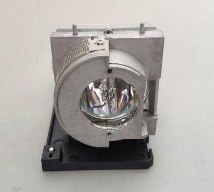 映写機照明ランプ 養護ホーム芝居小屋 テレビ受像機 外国で インポート CTLAMP Original BL-FU190G / SP.71K01GC01 DLP/LCD Projector Lamp with Original OEM Bulb Inside with Housing Compatible with OPTOMA GT5500+ W319US映写機照明ランプ 養護ホーム芝居小屋 テレビ受像機 外国で インポート