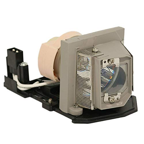 映写機照明ランプ 老人ホーム芝居小屋 テレビ受像機 外国で インポート CTLAMP BL-FP190B / SP.8VF01GC01 Compatible Projector Lamp BL-FP190B / SP.8VF01GC01 Bulb with Housing Replacement Compatible with OPTOMA X301 DX3映写機照明ランプ 老人ホーム芝居小屋 テレビ受像機 外国で インポート
