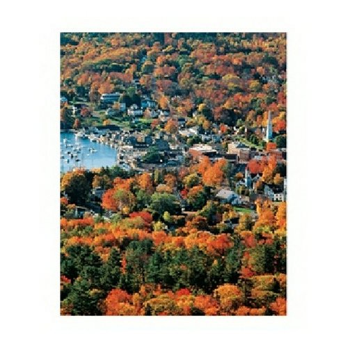 ジグソーパズル 海外製 アメリカ Springbok Autumn Harbor 1500 Piece Jigsaw Puzzleジグソーパズル 海外製 アメリカ