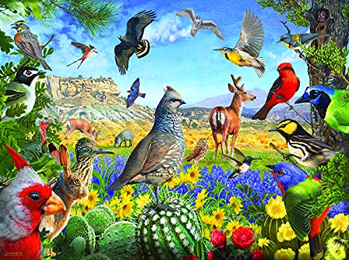 ジグソーパズル 海外製 アメリカ SUNSOUT INC - Texas Birds - 1000 pc Jigsaw Puzzle by Artist: R. Christopher Vest - Finished Size 20" x 27" - MPN# 70939ジグソーパズル 海外製 アメリカ｜angelica