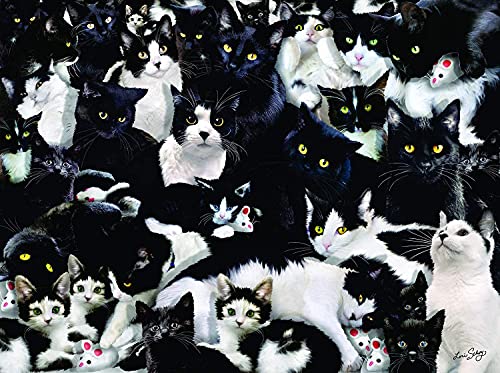 ジグソーパズル 海外製 アメリカ SUNSOUT INC - Study in Black and White - 1000 pc Jigsaw Puzzle by Artist: Lori Schory - Finished Size 20" x 27" - MPN# 35180ジグソーパズル 海外製 アメリカ｜angelica