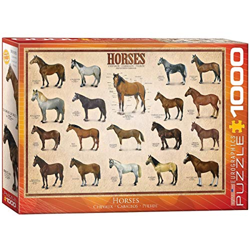 ジグソーパズル 海外製 アメリカ EuroGraphics Horses 1000 Piece Puzzleジグソーパズル 海外製 アメリカ｜angelica