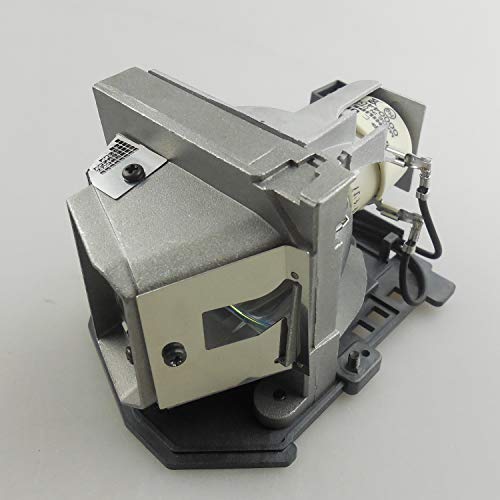 映写機照明ランプ 養護ホーム芝居小屋 テレビ受像機 外国で インポート CTLAMP Original BL-FU185A / SP.8EH01G.C01 Projector Lamp Assembly with OEM Genuine Projector Bulb with Housing Compatible with Optoma DX619 EX53映写機照明ランプ 養護ホーム芝居小屋 テレビ受像機 外国で インポート
