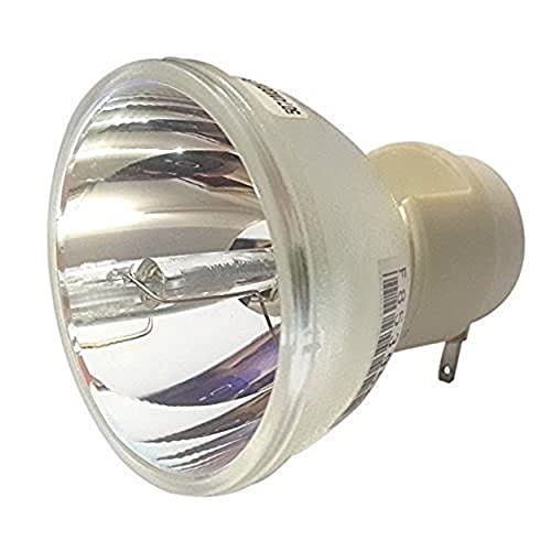 映写機照明ランプ 養護ホーム芝居小屋 テレビ受像機 外国で インポート CTLAMP Original Projector Lamp Bulb Compatible with P-大物 190/0.8 E20.8 RF 190 0.8 E20.8 Compatible with ViewSonic PJD5132 PJD5133 PJD5134 PJD52映写機照明ランプ 養護ホーム芝居小屋 テレビ受像機 外国で インポート