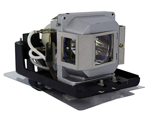 映写機照明ランプ 養護ホーム芝居小屋 テレビ受像機 外国で インポート GOLDENRIVER SPLAMP045 Replacement Projector Lamp with Housing Compatible with INFOCUS IN2106 / IN2106EP / A1300映写機照明ランプ 養護ホーム芝居小屋 テレビ受像機 外国で インポート