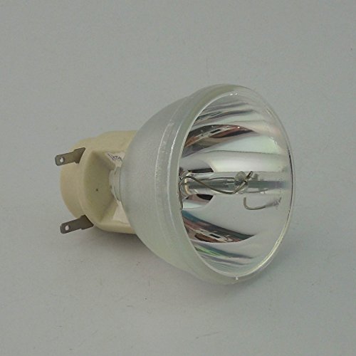 映写機照明ランプ 養護ホーム芝居小屋 テレビ受像機 外国で インポート CTLAMP RLC-091 Compatible DLP Bare Lamp/Bulb RLC-091 Replacement Compatible with Viewsonic PJD6544W映写機照明ランプ 養護ホーム芝居小屋 テレビ受像機 外国で インポート