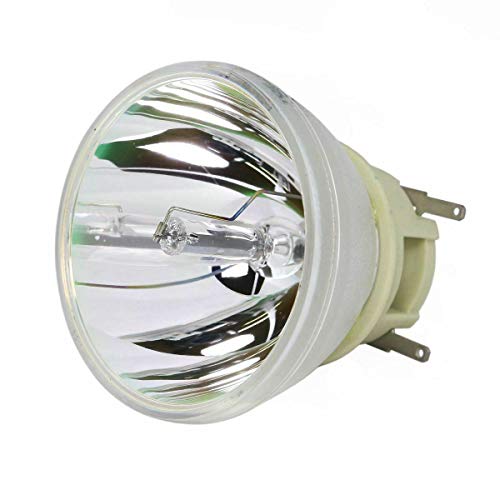 映写機照明ランプ 養護ホーム芝居小屋 テレビ受像機 外国で インポート CTLAMP Original 5J.JEE05.001 5J.J9E05.001 5J.J6E05.001 Projector Bare Bulb Compatible with BENQ W1110 W2000 HT2050 HT3050 W1210ST HT2150ST HT405映写機照明ランプ 養護ホーム芝居小屋 テレビ受像機 外国で インポート