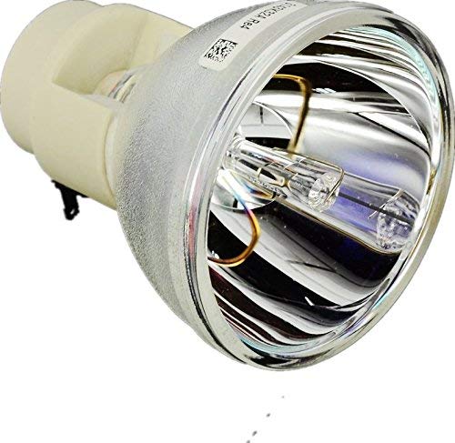 映写機照明ランプ 養護ホーム芝居小屋 テレビ受像機 外国で インポート CTLAMP Original 5J.J0705.001 / P-大物230 0.8 E20.8 Professional DLP/LCD Original Projector Bare Lamp Bulb Compatible with BenQ HP3325 MP670 W600 映写機照明ランプ 養護ホーム芝居小屋 テレビ受像機 外国で インポート