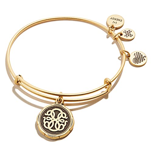 アレックスアンドアニ アメリカ アクセサリー ブランド かわいい Alex and Ani Path of Symbols Expandable Bangle for Women, Path of Life Embossed Charm, Rafaelian Silver Finish, 2 to 3.5 inアレックスアンドアニ アメリカ アクセサリー ブランド かわいい|angelica