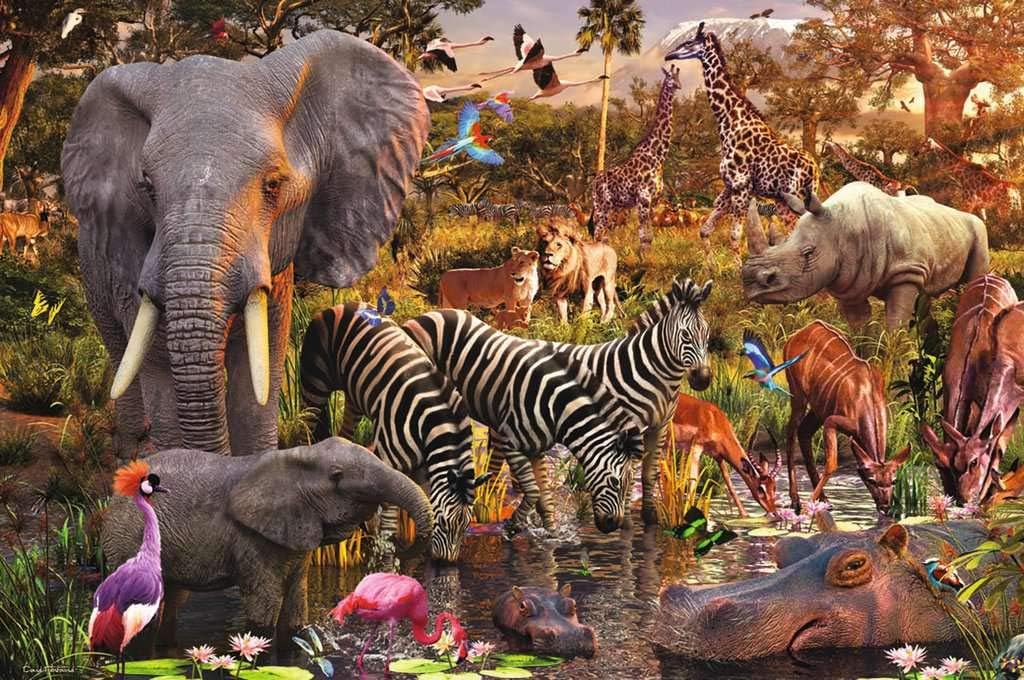 ジグソーパズル 海外製 アメリカ 【送料無料】Ravensburger Oceanic Wonders 3000 Piece Jigsaw Puzzle for Adults African Animals 3000 Piece Jigsaw Puzzle for Adults – Softclick Technology Means Pieces Fit Together ジグソーパズル 海外製 アメリカ