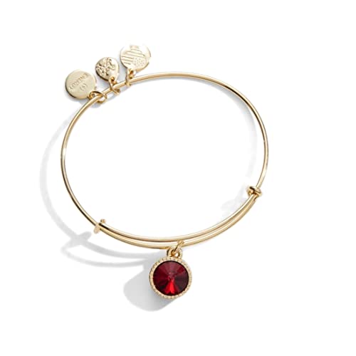 アレックスアンドアニ アメリカ アクセサリー ブランド かわいい ALEX AND ANI Birthstones Expandable Bangle for Women, January, Red Scarlet Crystal, Shiny Gold Finish, 2 to 3.5 inアレックスアンドアニ アメリカ アクセサリー ブランド かわいい|angelica