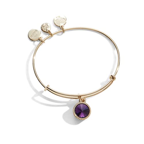アレックスアンドアニ アメリカ アクセサリー ブランド かわいい ALEX AND ANI Birthstones Expandable Bangle for Women, February, Purple Amethyst Crystal, Shiny Gold Finish, 2 to 3.5 inアレックスアンドアニ アメリカ アクセサリー ブランド かわいい|angelica