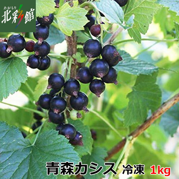 【カシスファーム　青森県産冷凍カシス 1Kg】<BR>送料込み・産地直送 青森 ■冷凍発送