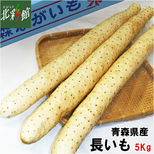 青森県産 八助 10kg 冷蔵)八助梅サイズ混合10kg※6月下旬～7月上旬から出荷予定