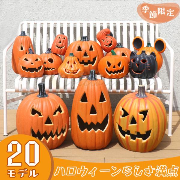 楽天市場】ハロウィン用 本物 生カボチャ 鑑賞用『プッチーニ