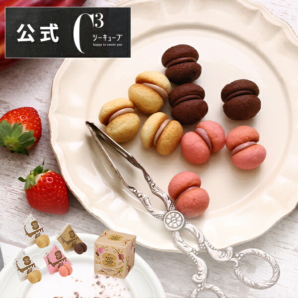 バレンタイン 手土産 2026 お菓子 お返し 内祝い 帰省 プレゼント プチギフト お菓子 クッキー 退職 スイーツ ギフト 手土産 個包装 記念品 お返し かわいい【シーキューブ-C3-】CSC-4C サクッチ・ホロッチ 4個入画像