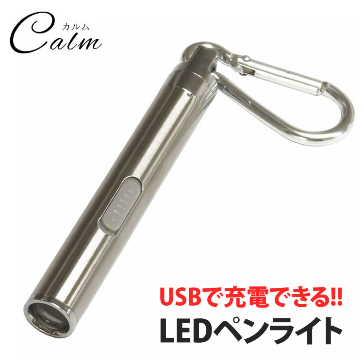 楽天市場】USB充電式 ミニライトUSB 防水 キーホルダー LED 高輝度 アウトドア 散歩 コンパクトキーチェーン カラビナ 軽量 : カルム  楽天市場店