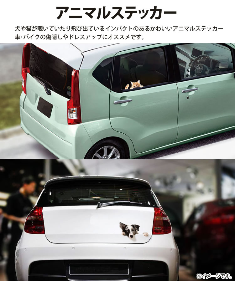 楽天市場 動物 カーステッカー アニマル 犬 猫 かわいい ドレスアップ 車 バイク カー用品 ステッカー カルム 楽天市場店