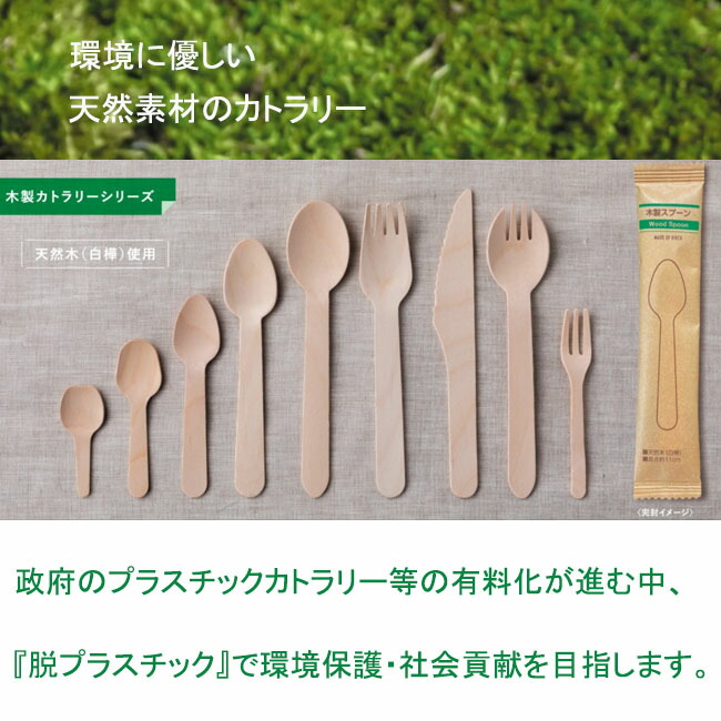 最大79％オフ！ 木製フォークスプーン 160 使い捨て カトラリー テイクアウト 業務用 キッチン用品 厨房用品 バラ入り #10711000  fucoa.cl