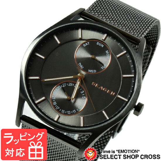 楽天市場】【送料無料】 SKAGEN スカーゲン 腕時計 ウォッチ