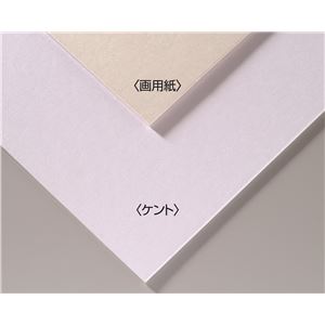 (まとめ)アーテック A＆B 一風変わった 両面美術ゲーム盤/小間絵ゲーム盤 【B4】 ECO原材料 カートリッジペーパー 【×30仕掛ける】