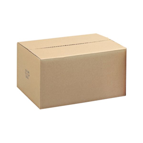 (まとめ)トッパンフォームズ ストックフォーム15×11インチ 1P 白紙 1510L1 1箱(2000枚) 【×2セット】