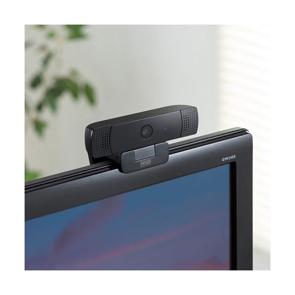 サンワサプライステレオマイク内蔵WEBカメラCMS-V61BK
