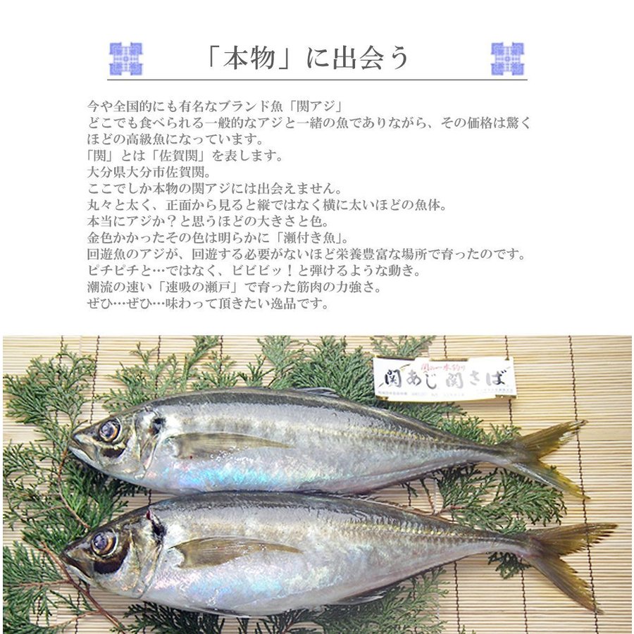 おすすめ 大分 関アジ りゅうきゅう 1袋80g 3人前 佐賀関 漁協 産直 お取り寄せ アジ あじ 鰺 あつめし 漬け 丼 惣菜 魚介 魚 料理 大分県産 海産物 つまみ 送料無料 関 豊後水道 高級 ブランド魚 Qdtek Vn