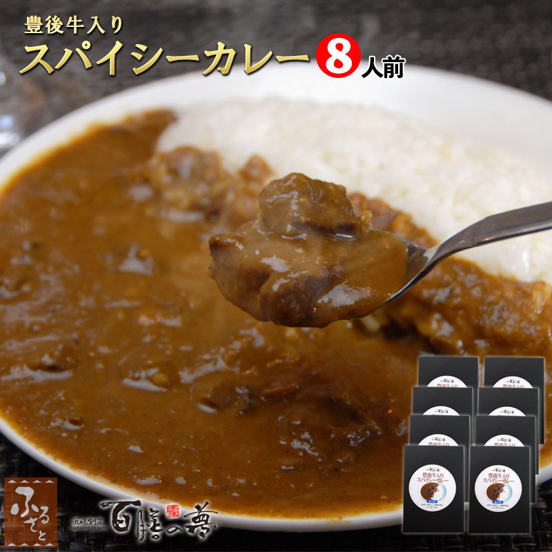 別府 料亭 百膳の夢 豊後牛入り スパイシーカレー 8人前 レトルトカレー 食品 総菜 洋風 おかず お取り寄せ ディナー レンジ調理 プロトン凍結 冷凍 パック パウチ 湯煎 調理済 お惣菜 クリスマス