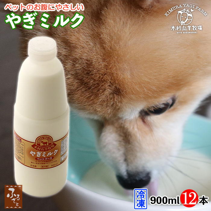 父の日特集2026