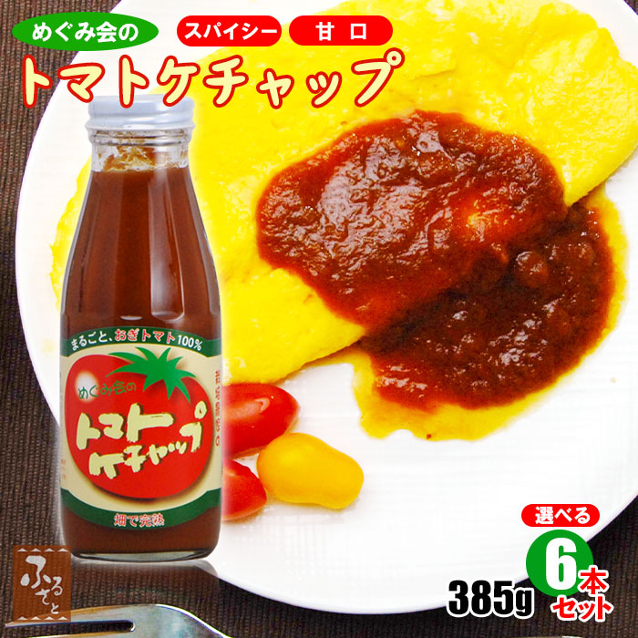 選べる めぐみ会 トマト ケチャップ スパイシー ＆ 甘口 385g×6本 大分 荻町 高原トマト農家 エムナイン 減農薬栽培 送料無料 とまと 野菜 たっぷり ソース コク 瓶詰 パスタ 特産 瓶詰め 調味料