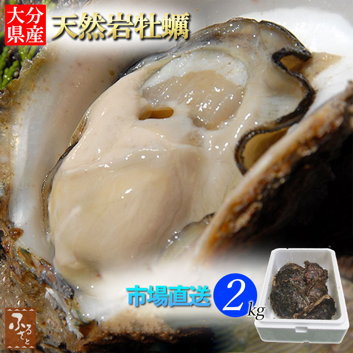楽天市場】牡蠣 殻付き 大分県産 天然 活き 岩牡蠣 10～15個 約