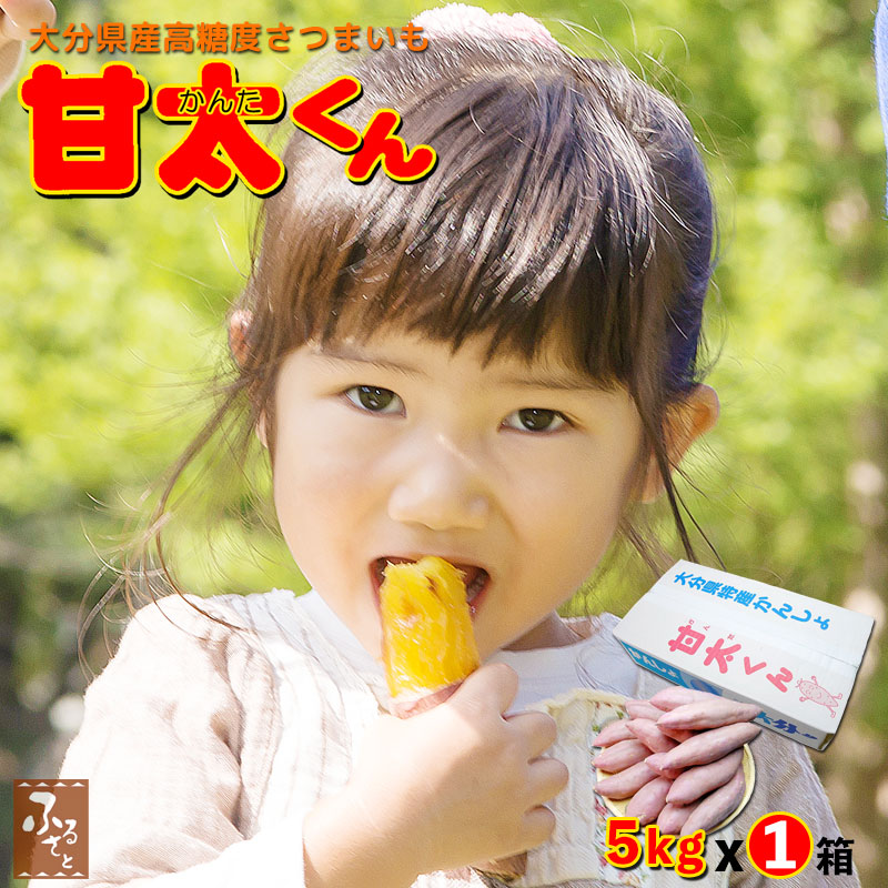 はるか　秀品　箱の重さ抜きで10kg 大分県産 はるか 秀品 箱の重さ抜きで10kg 大分県産 楽天市場】はるか