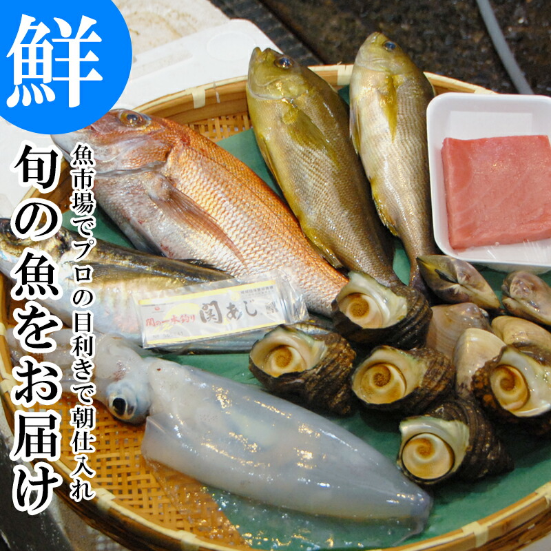 楽天市場 旬の魚介 鮮魚 おまかせセット 極 魚市場から直送 関アジ または 関サバ が必ず入る 大分市 公設地方 卸売 市場 大分県の特産品専門店ふるさと