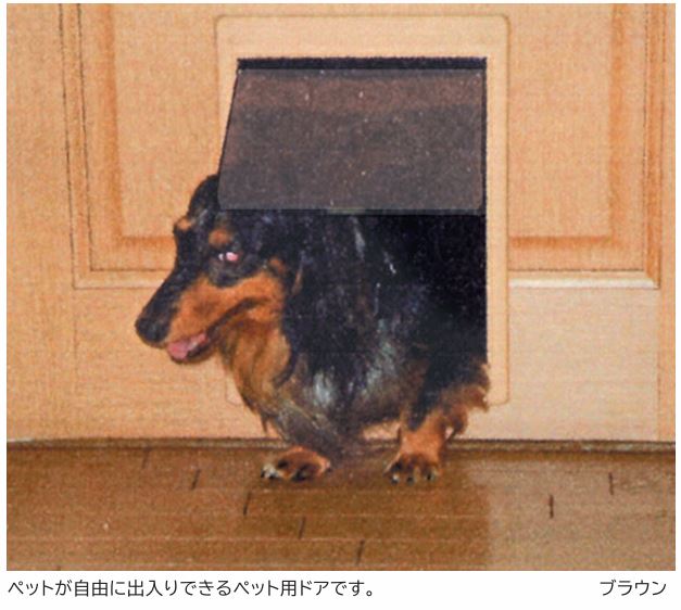 愛玩動物部屋の入り口 象牙色 赤銅色 暗然たる赤銅色 SOWA