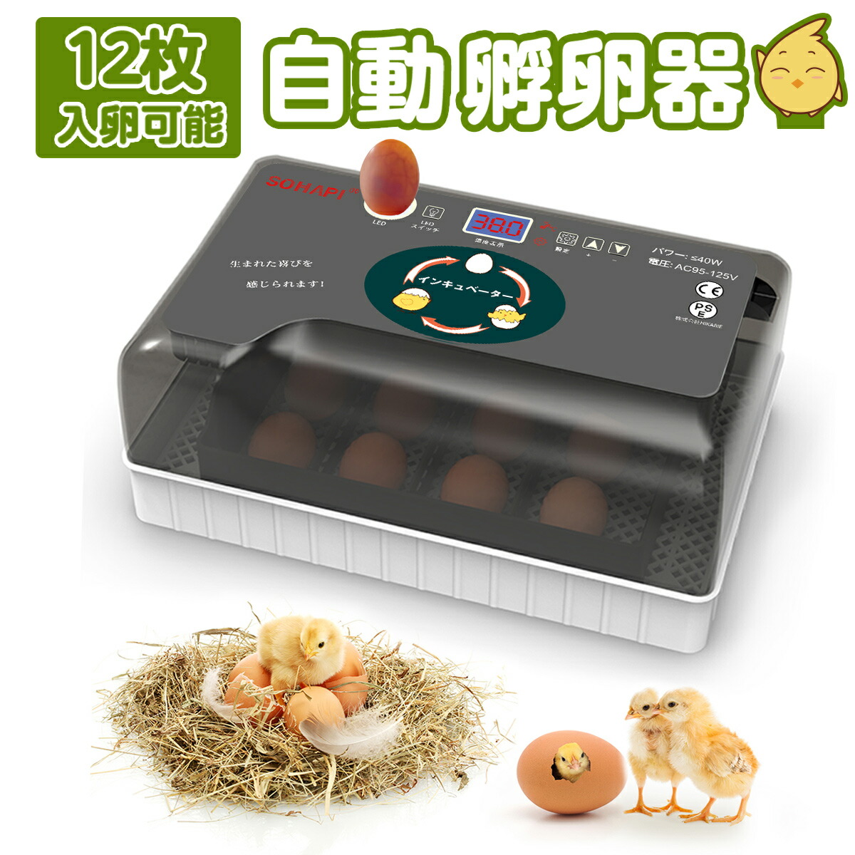 99さん専用　孵卵器 51c-vKxlVhL._UF350,350_QL50_.jpg