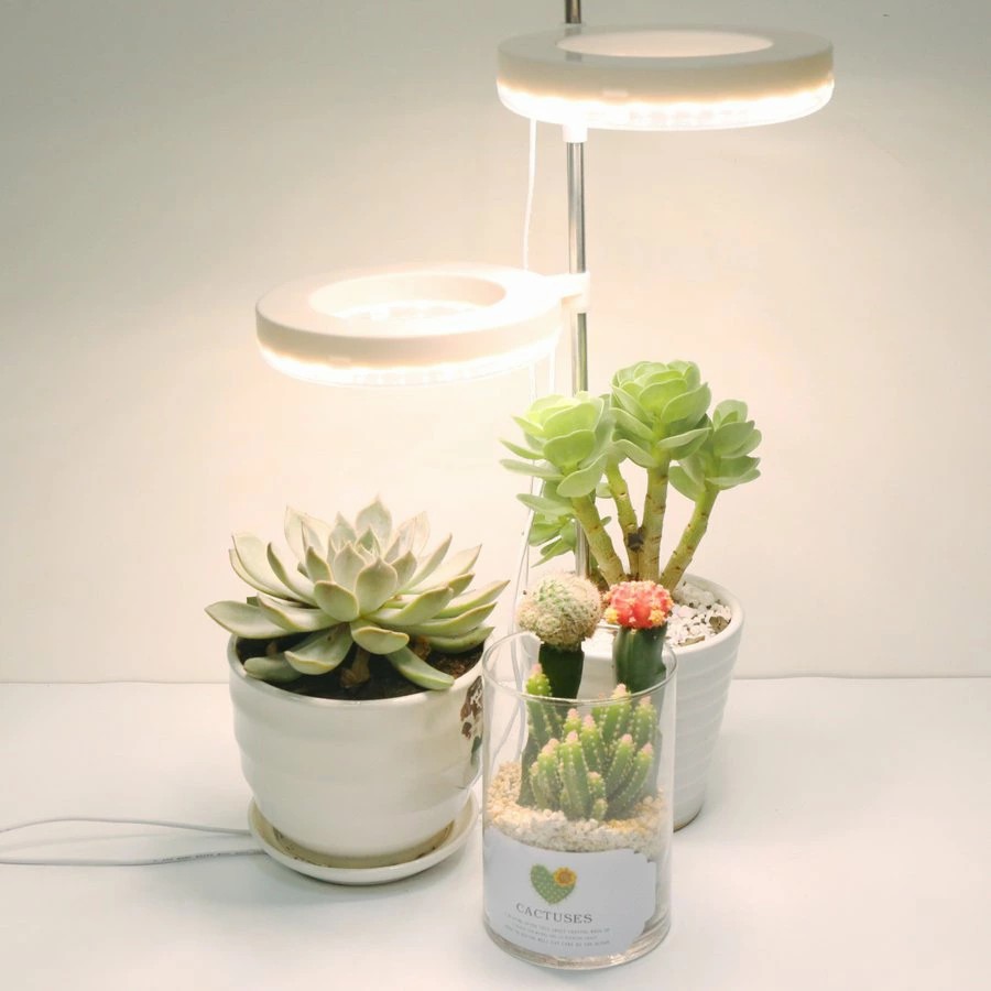 楽天市場】植物育成ライト 室内栽培ランプ LED 植物ライトスマート調光 