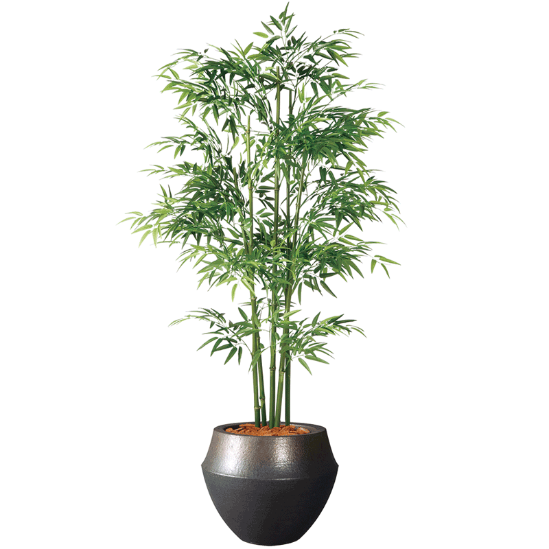 国際ブランド 楽天市場 観葉植物 造花 大型 人工観葉植物 消臭 抗菌 Udd触媒 青竹 ５本立 180cm 特定送料 フェイクグリーン Rcp ギフトと造花の ショップかたくり 新発売の Lexusoman Com