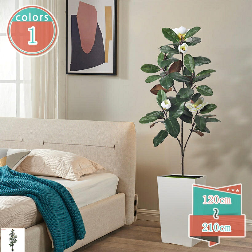 1000円OFFクーポン券 フェイクグリーン 玉蘭の花 水やり不必要 枯れない 害虫が生いそだつしない 人工観葉草木 抗菌 防汚 室内装飾 室内用 今めかしい 癒し 大型 大さい 着飾る 喫茶店 洗面所 部屋の入り口 室内用便器 風水 開運 差し上げ物 仕合わせの木 引き越す祝賀会 開店 開業祝賀会 shop-kosugi