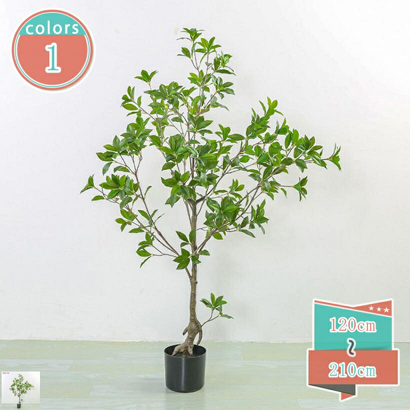 1000円OFFクーポン 観覧植物 人工観葉樹 馬酔木 アセビ ナチュラル 人工観葉植物 フェイク 造花 シンプル 屋内 オフィス 室内 インテリア 大型 葉っぱ 飾り 世話いらず 水やり不要 ホーム デコレーション 店舗 多幸の木 鉢植え 植木 おしゃれ 装飾 幸福の木|小杉拓嗣商店
