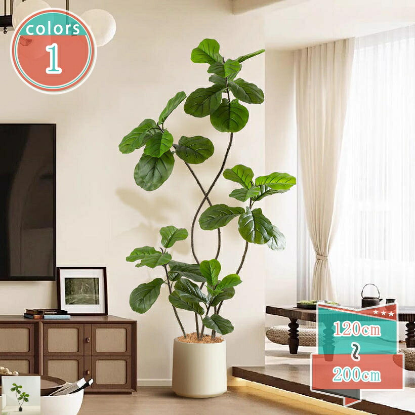 1000円OFFクーポン ウンベラータ 人工観葉植物 観葉樹 観葉植物 フェイク リアル 大型 人工 室内 新生活 インテリア オフィス装飾 造花 本物そっくり 人工の幸福の木 水やり不要 世話いらず 鉢植え 風水 開運 フェイク植物 観覧植物 盆栽植物 shop-kosugi|小杉拓嗣商店
