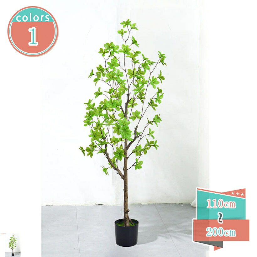 500円OFFクーポン券 鉢植え 盆栽 人工草木 まがい物あずま屋 ドウダンツツジ 御坊っちゃん うしろ帯 差し上げ物 フェイクグリーン 造花 本当の 大型 水やり不必要 虫害気づかわしさなし 馬鹿でかい 室内装飾 心うれしいの木 オシャレ 室内 執務室 部屋の入り口 家の中に置く お取りつくろう不必要 shop-kosugi