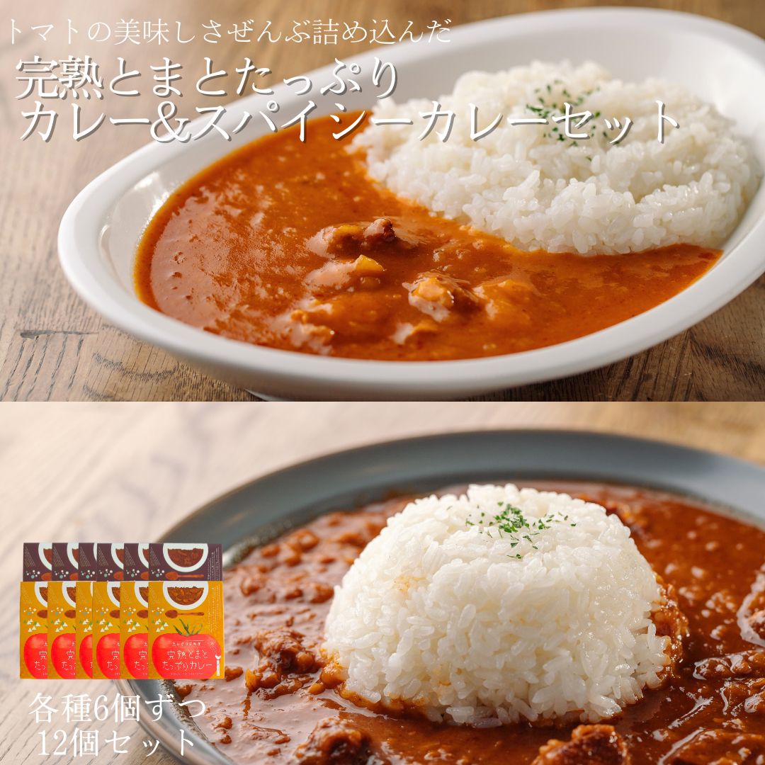 日南トマト加工株式会社 完熟とまとたっぷりカレー&スパイシーカレー 各種6個ずつ12個入セット