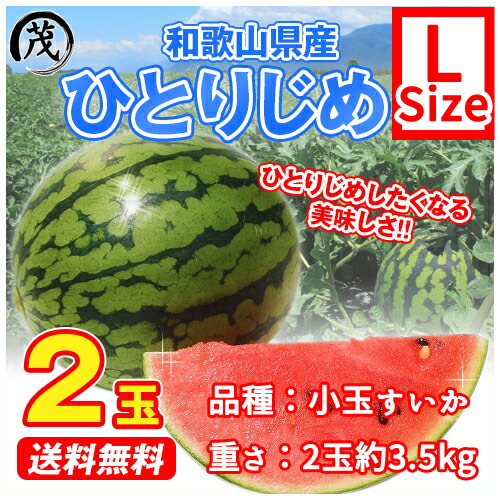 和歌山県産　ひとりじめ　2Lサイズ　4玉　約9-12kg前後 小玉すいか ひとりじめ 4玉入り（2Lサイズ）和歌山産 送料無料