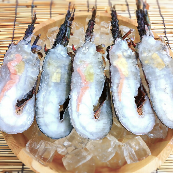 【送料無料】活締冷凍伊勢えびハーフカットLサイズ1kg（加熱用）伊勢海老ハーフカット 活締冷凍 約1kg（半身3～5） １尾約400～700g（Lサイズ） 伊勢海老 いせえび 房州産 天然 産直 海鮮焼き ギフト【東安房漁協】