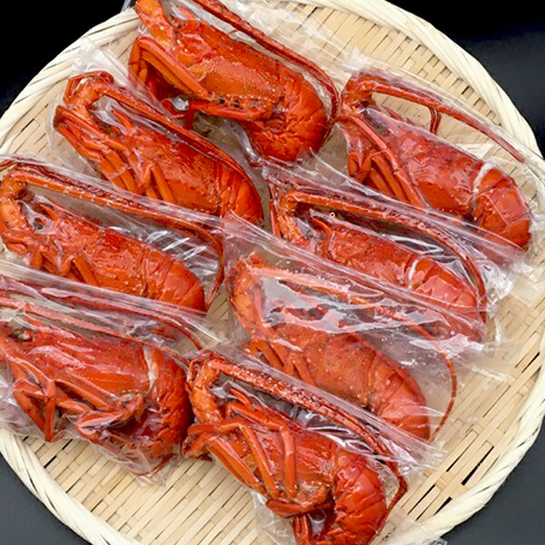 【送料無料】 天然 ボイル 冷凍 伊勢海老 総量1kg 約100g×8本前後 手のひらサイズ 味噌汁 鍋 浜汁 ギフト 産地直送 国産 伊勢エビ 送料無料 天然伊勢海老 活〆ボイル冷凍 高鮮度 急速凍結 贈答 ギフト 贈り物 お取り寄せ【与助丸】