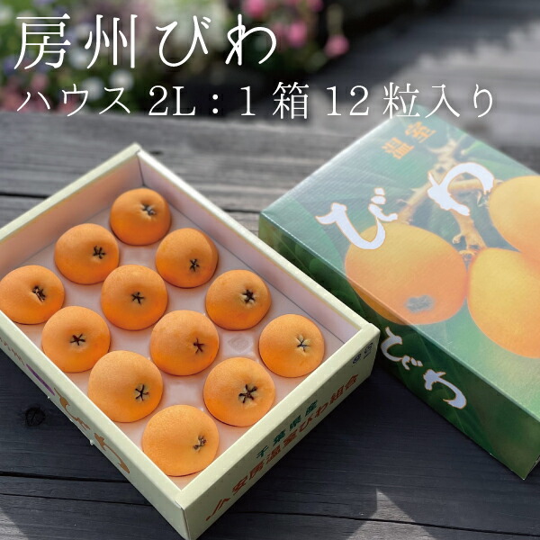 【送料無料】 房州びわ（ハウス）[2Lサイズ] 1箱 12粒 房州びわ 2Lサイズ フルーツ 千葉 南房総 房州枇杷 枇杷 ビワ 国産 果物 くだもの 産直 贈答 ギフト 旬の果実  初夏の味覚【枇杷倶楽部】